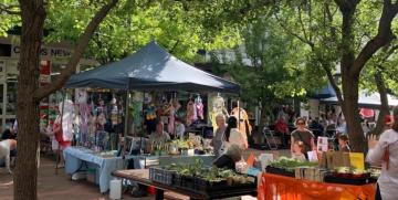 Wellington Rotary Markets