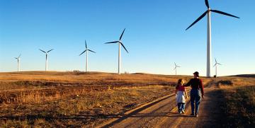 12 months of REI complaints