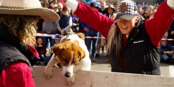 Merriwa Festival of the Fleeces