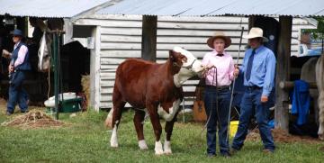 Walcha Show