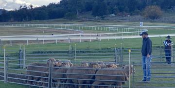 Wellington Show 2025
